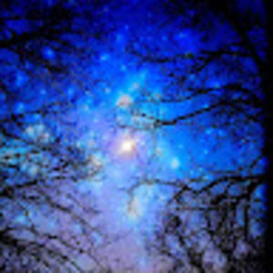 Meet your Posher, Gracie